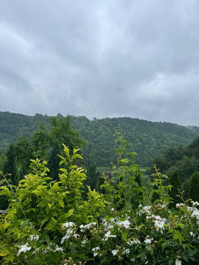 Villa Nature Bihać Buitenkant foto