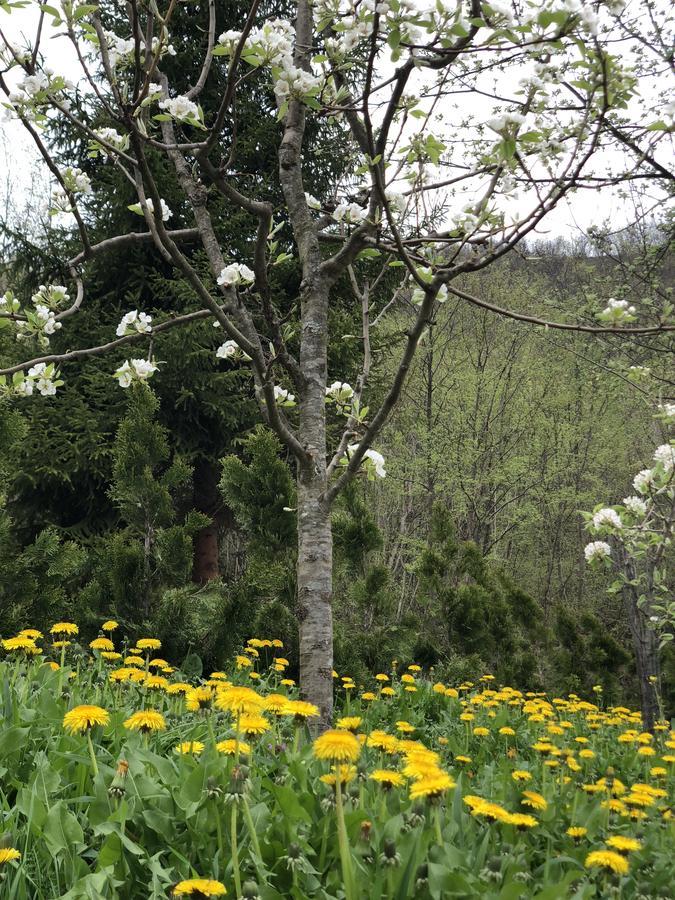 Villa Nature Bihać Buitenkant foto