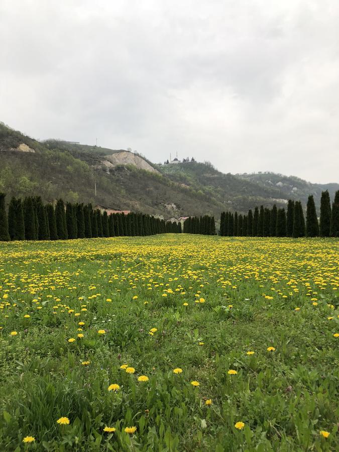 Villa Nature Bihać Buitenkant foto